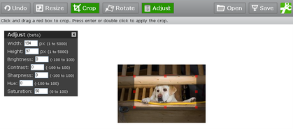 screen image of Snipshot in action